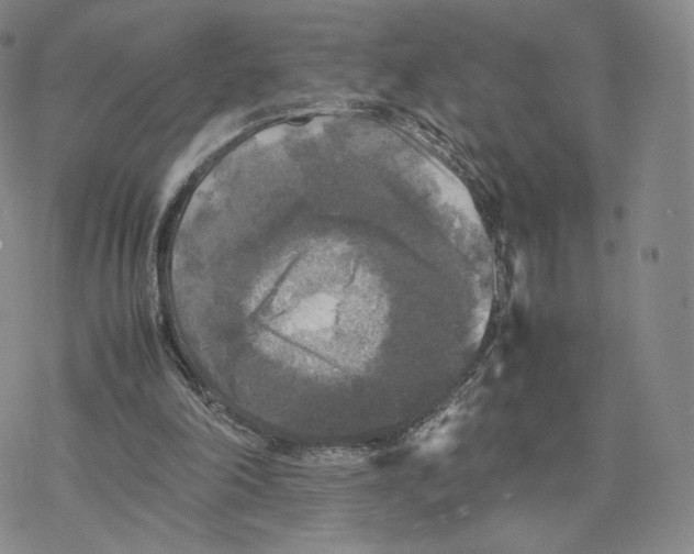 X0000077290198200611171636