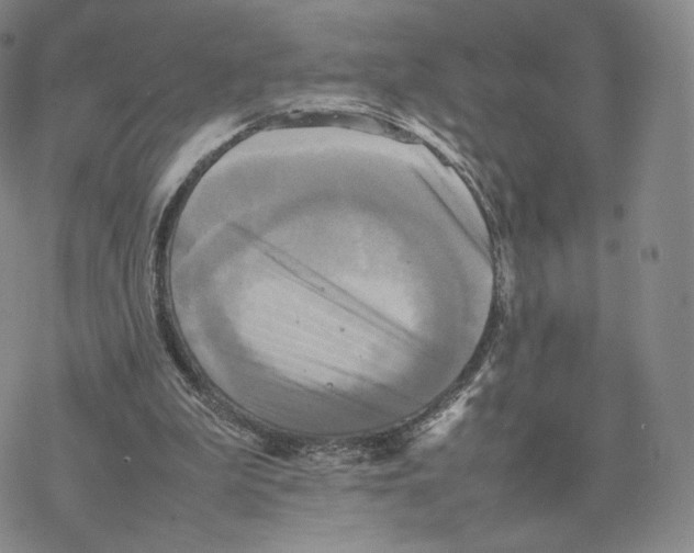 X0000077290199200611171636