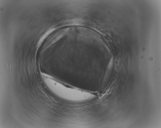 X0000077290200200611171636