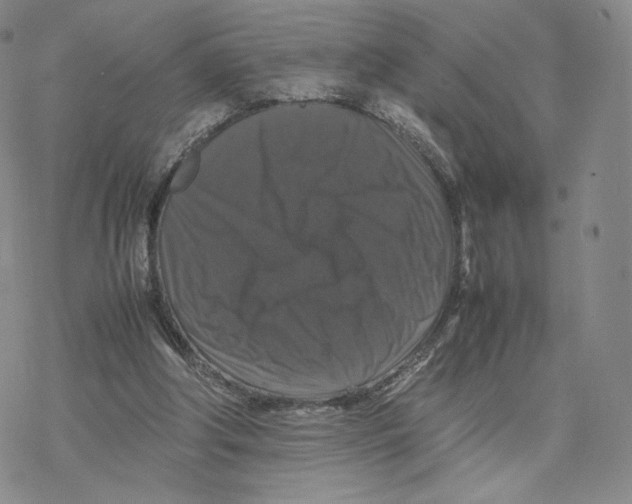 X0000077290202200611171635