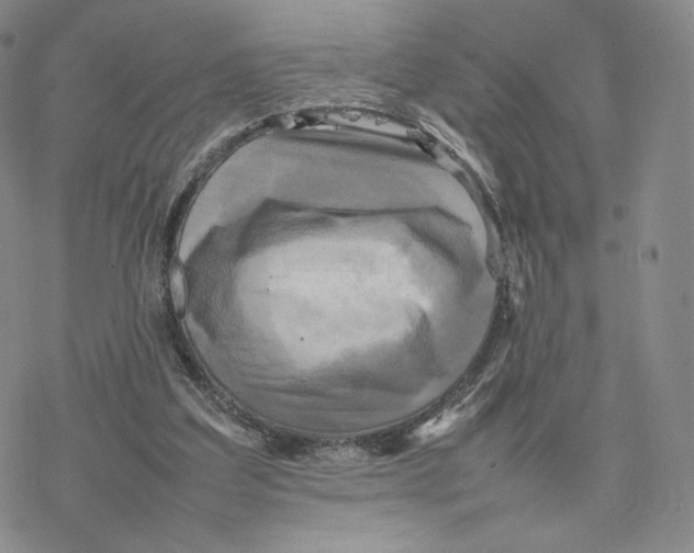 X0000077290203200611171635