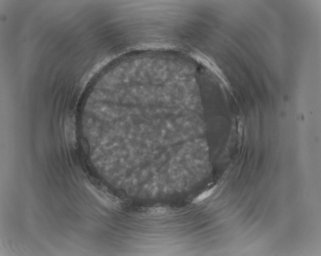 X0000077290204200611171635