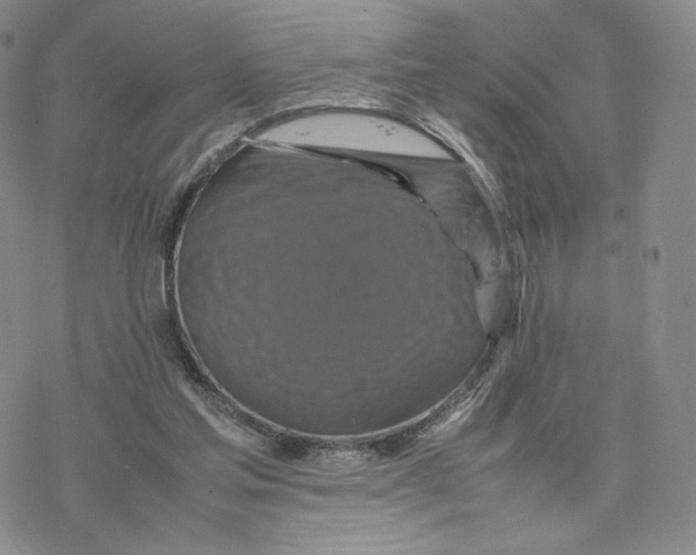 X0000077290205200611171635