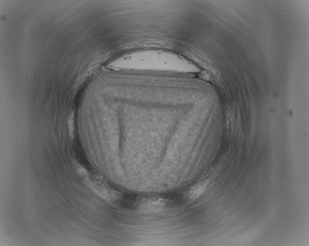 X0000077290206200611171635