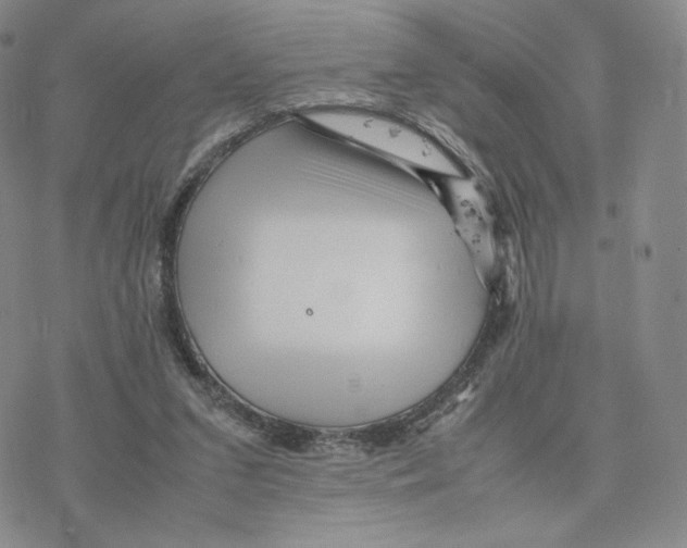 X0000077290207200611171635