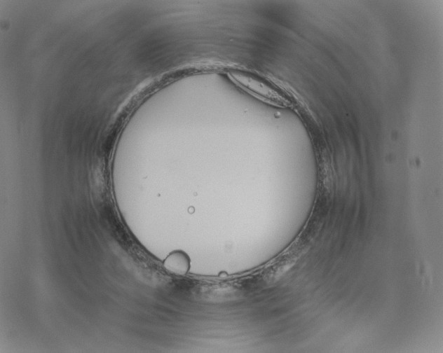 X0000077290208200611171635