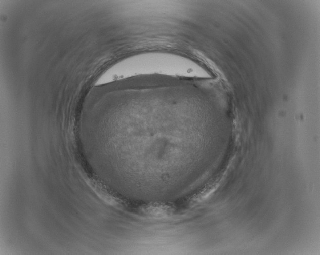 X0000077290209200611171635