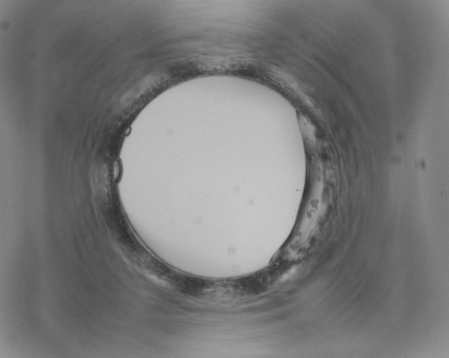 X0000077290211200611171635