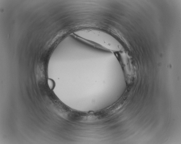 X0000077290212200611171635