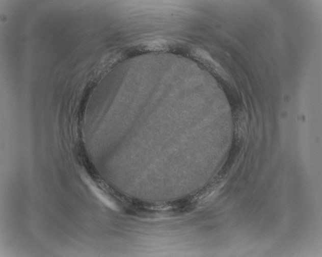 X0000077290213200611171635