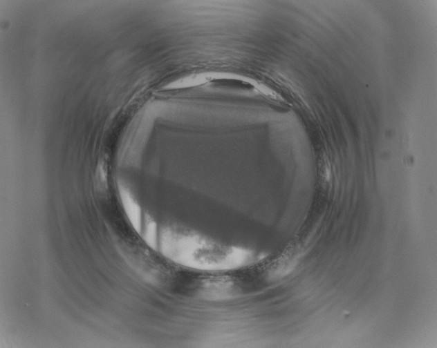 X0000077290214200611171635