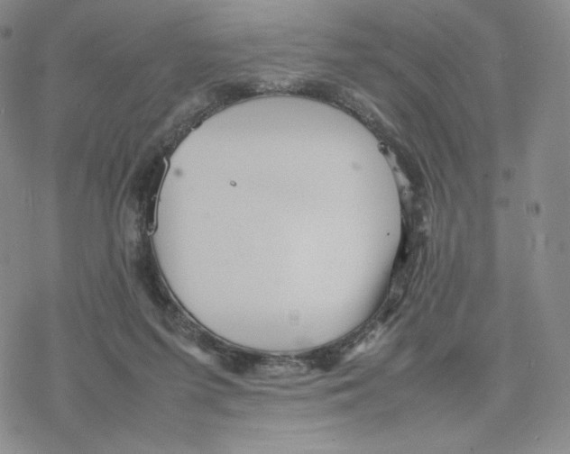 X0000077290215200611171635