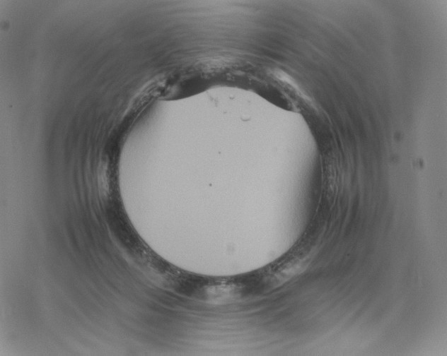 X0000077290216200611171635