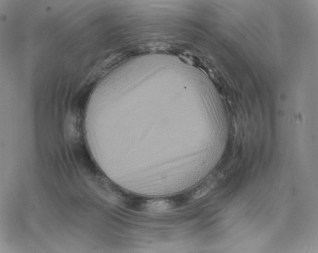 X0000077290218200611171635