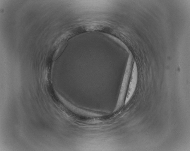 X0000077290219200611171635