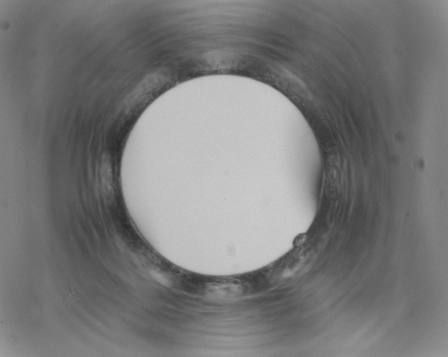 X0000077290220200611171635