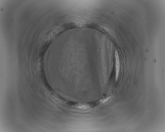 X0000077290221200611171635