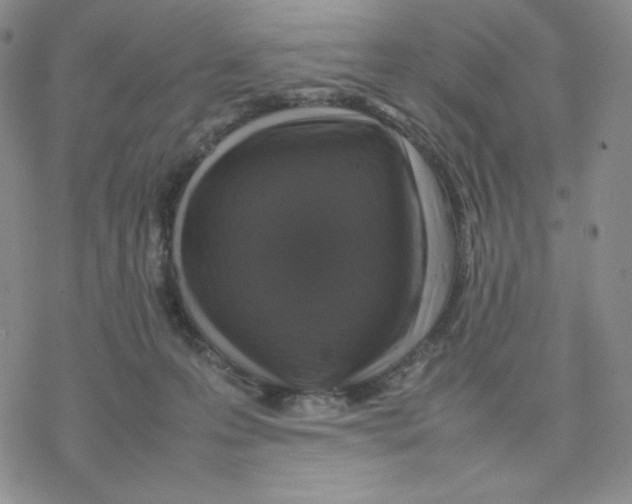 X0000077290223200611171635