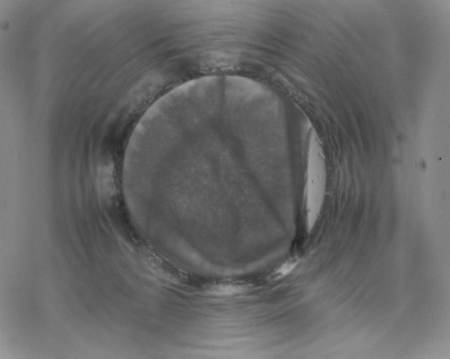 X0000077290224200611171635