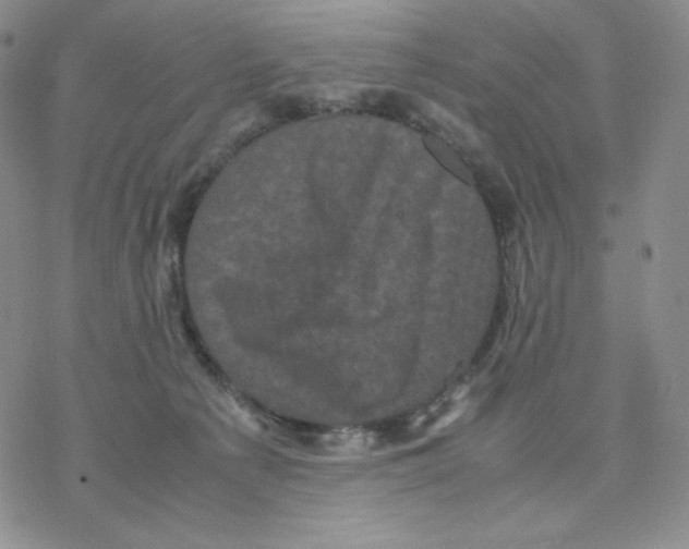 X0000077290225200611171635