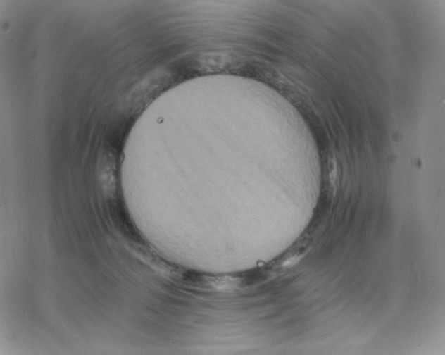 X0000077290226200611171635