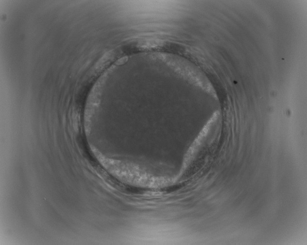 X0000077290227200611171635