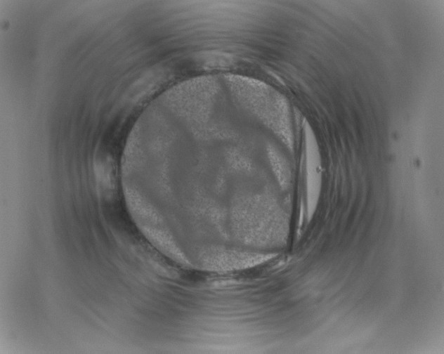 X0000077290228200611171635