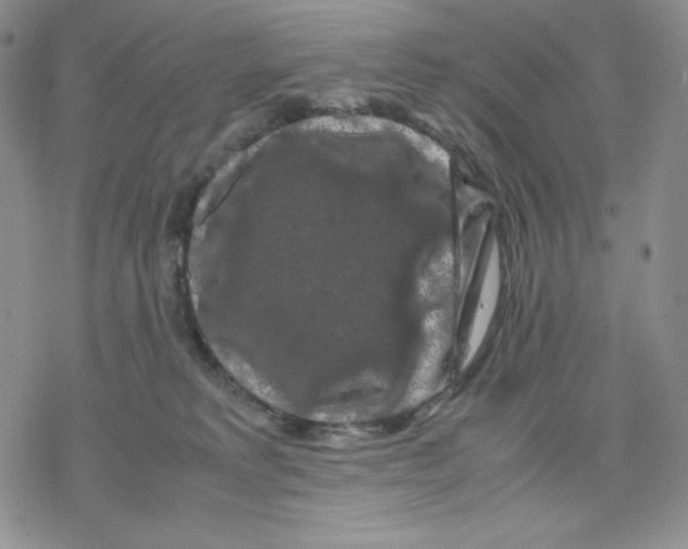 X0000077290229200611171635