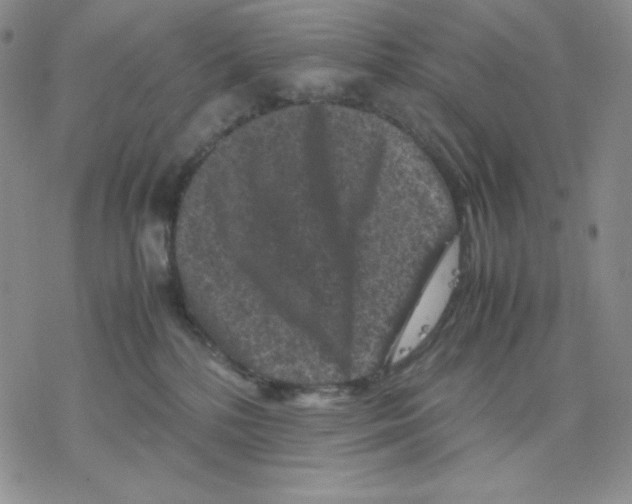 X0000077290232200611171635