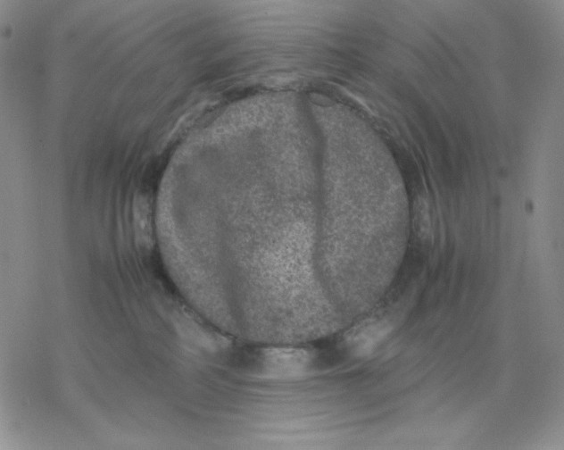 X0000077290234200611171635