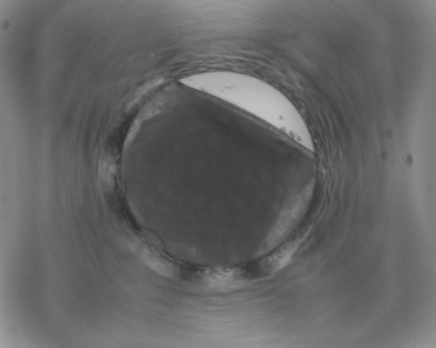 X0000077290235200611171635