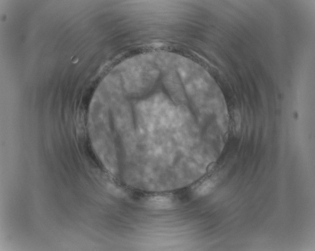 X0000077290236200611171635