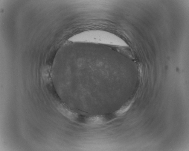 X0000077290237200611171635