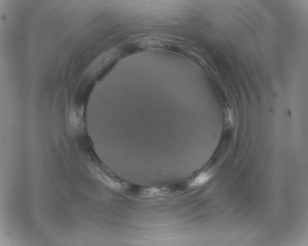 X0000077290239200611171635