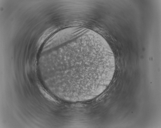 X0000077290242200611171634