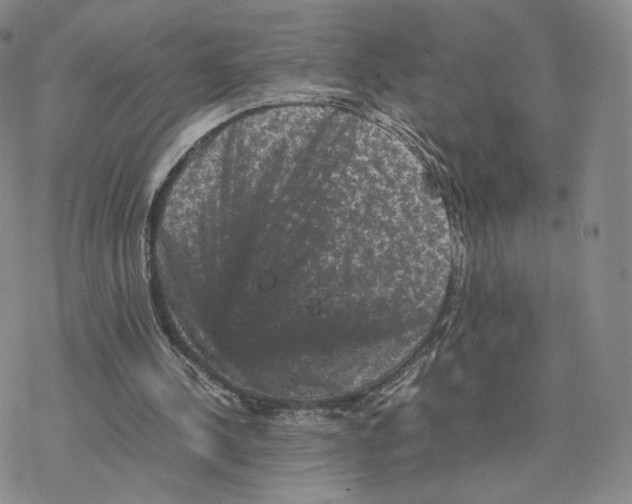 X0000077290244200611171634