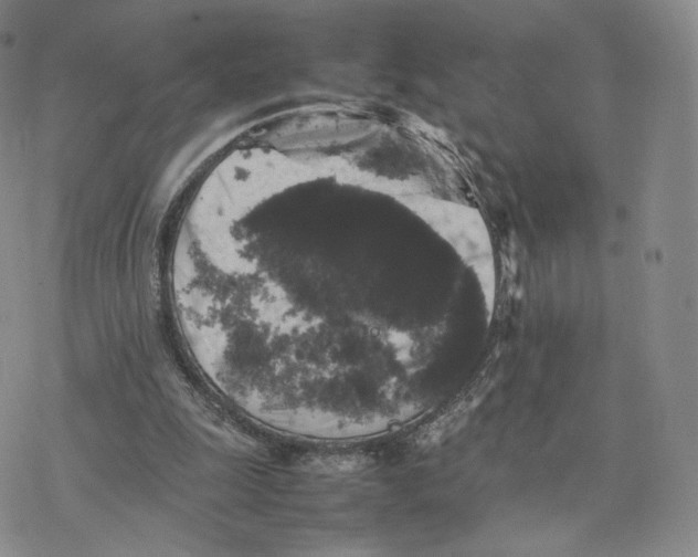 X0000077290247200611171634