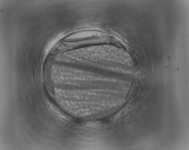 X0000077290248200611171634