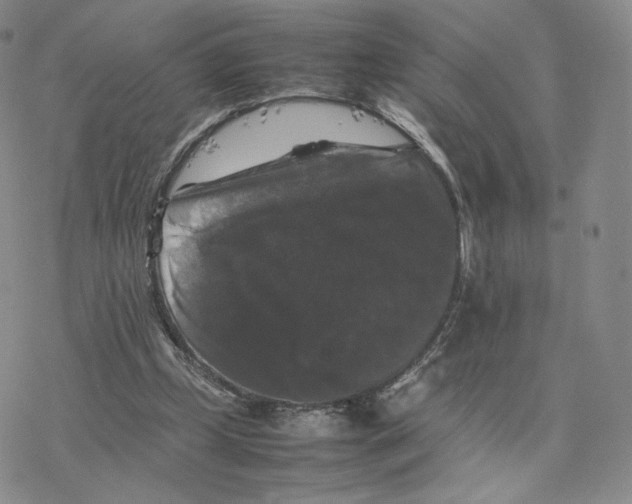 X0000077290249200611171634