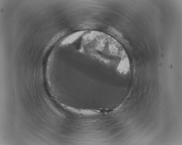 X0000077290250200611171634