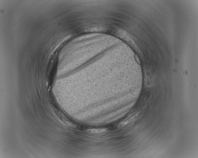 X0000077290251200611171634