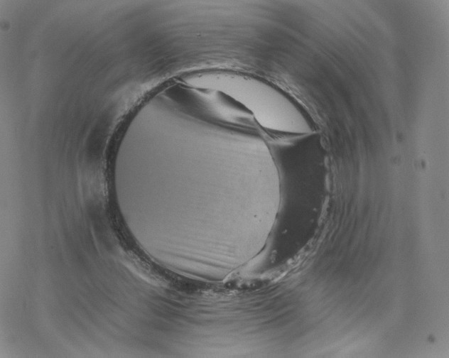 X0000077290252200611171634