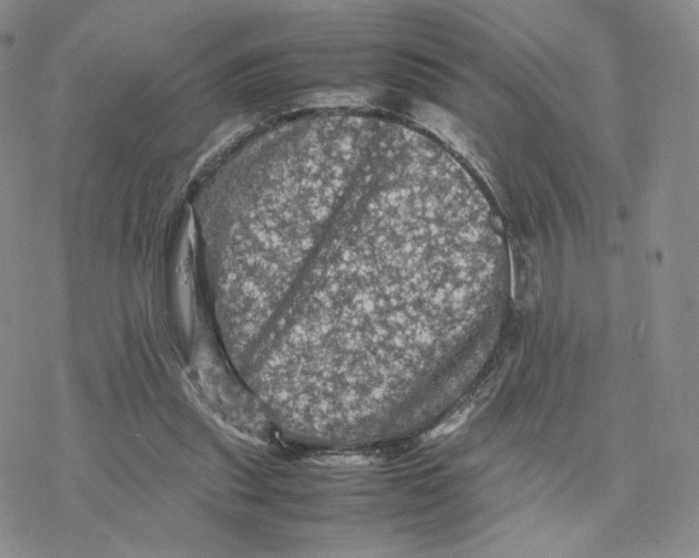 X0000077290253200611171634