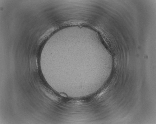 X0000077290254200611171634