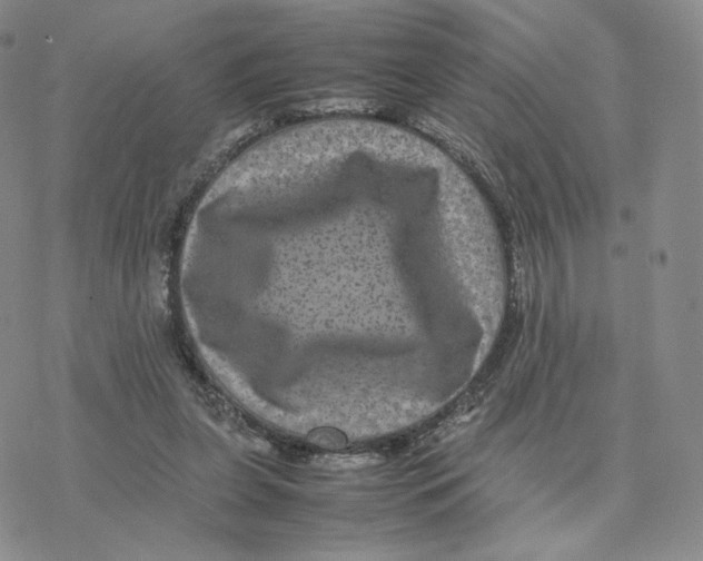 X0000077290255200611171634