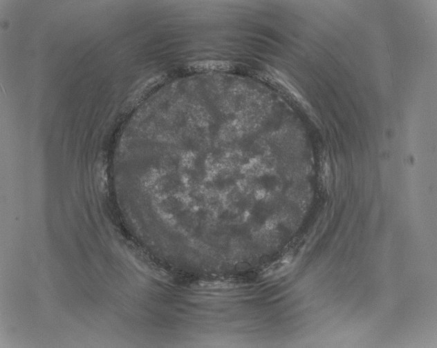 X0000077290259200611171634