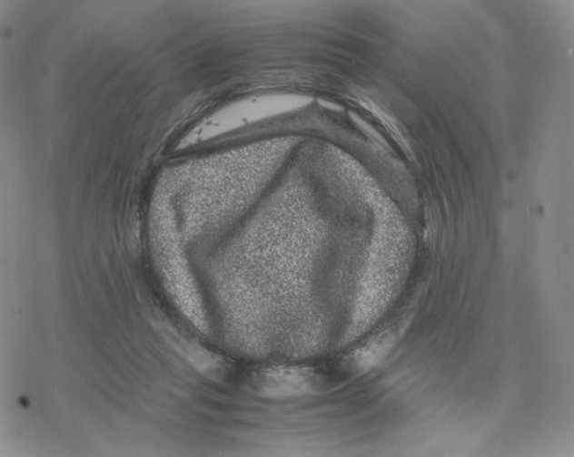 X0000077290261200611171634