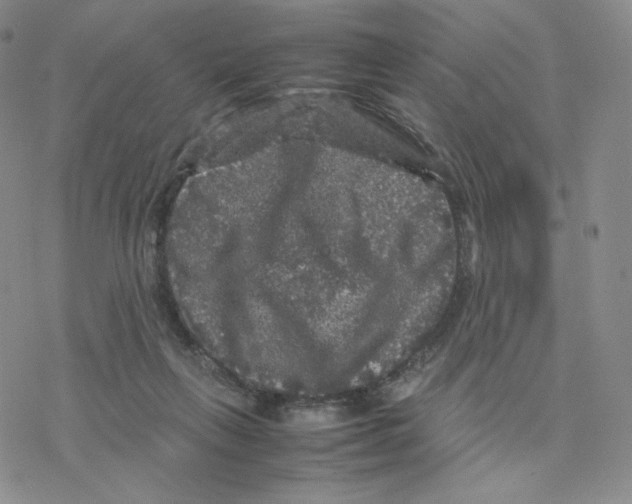 X0000077290263200611171634