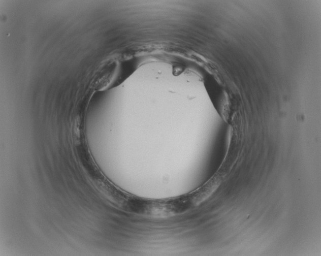 X0000077290264200611171634