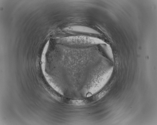 X0000077290265200611171634